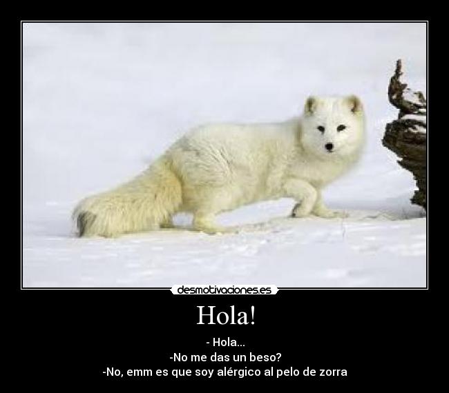 Hola! -