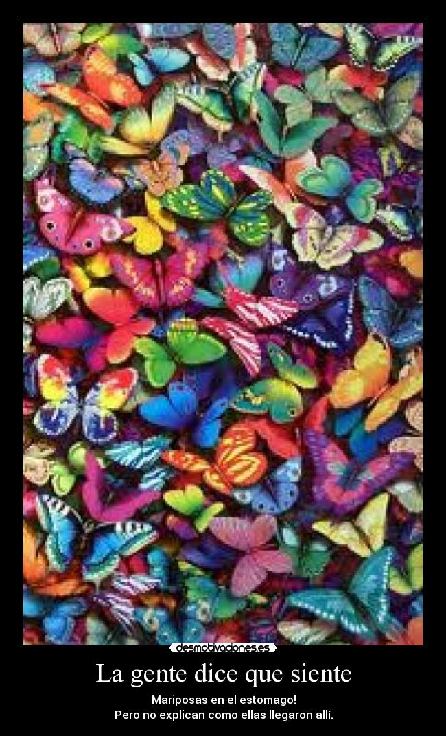 La gente dice que siente - Mariposas en el estomago!
Pero no explican como ellas llegaron allí.