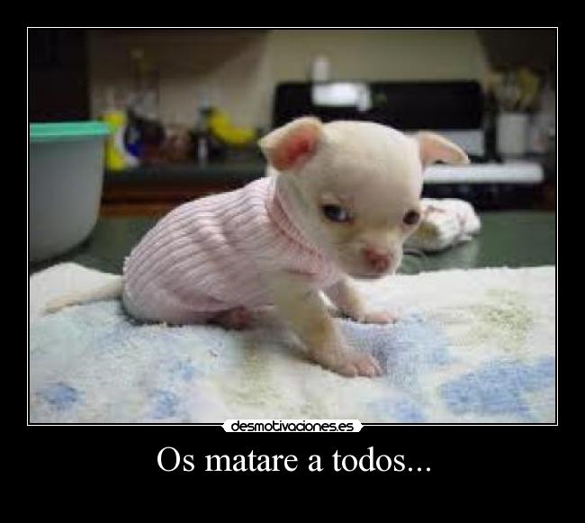 Os matare a todos... -