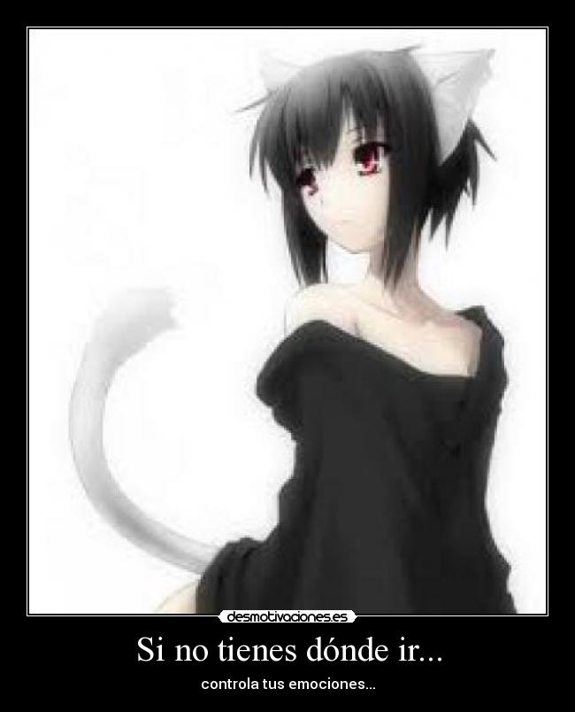 Si no tienes dónde ir... - 