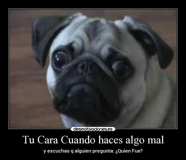 Tu Cara Cuando haces algo mal -