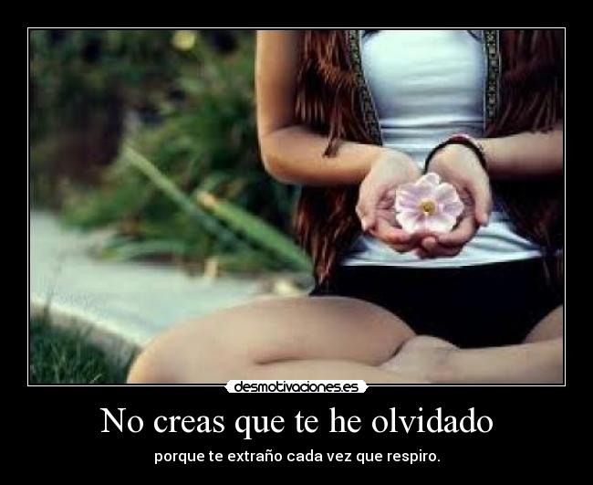 No creas que te he olvidado -