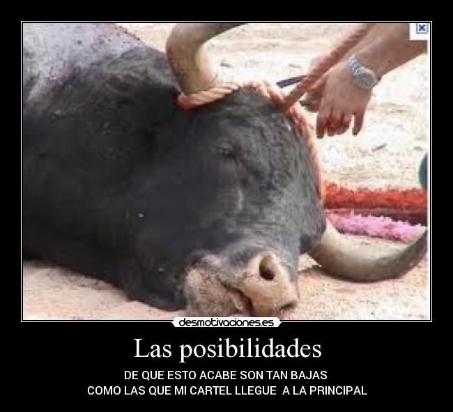 Las posibilidades -