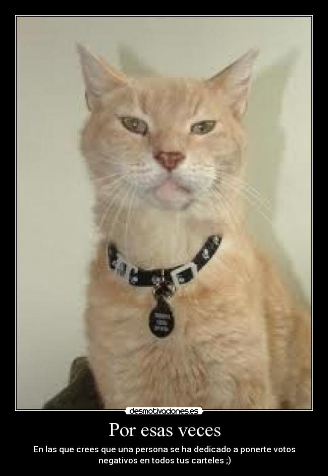 Por esas veces - En las que crees que una persona se ha dedicado a ponerte votos
negativos en todos tus carteles ;)