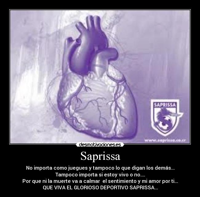 Saprissa - No importa como juegues y tampoco lo que digan los demás...
Tampoco importa si estoy vivo o no....
Por que ni la muerte va a calmar el sentimiento y mi amor por ti...
QUE VIVA EL GLORIOSO DEPORTIVO SAPRISSA...