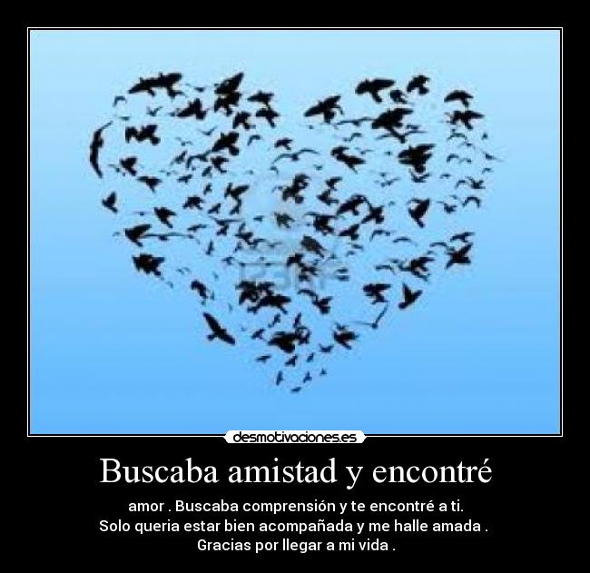 Buscaba amistad y encontré - 
