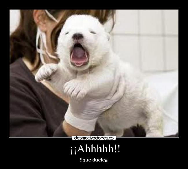 ¡¡Ahhhhh!! -