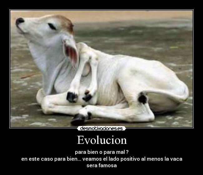 Evolucion - para bien o para mal ?
en este caso para bien... veamos el lado positivo al menos la vaca sera famosa