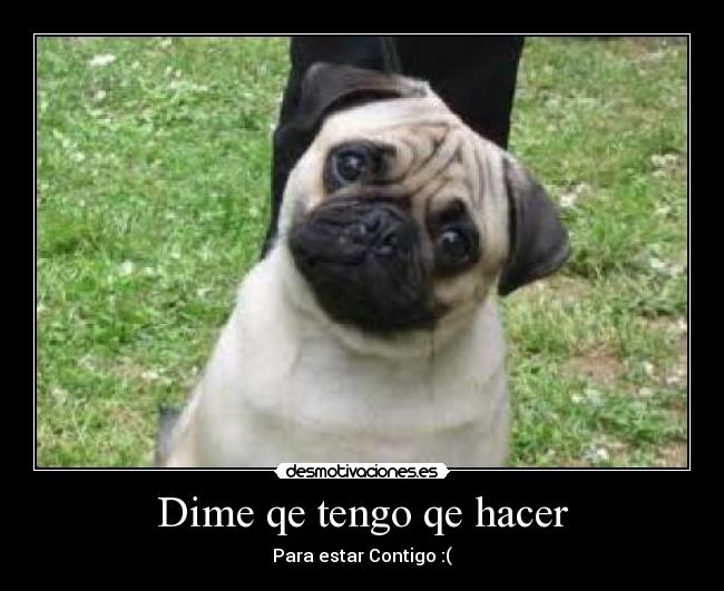 Dime qe tengo qe hacer -