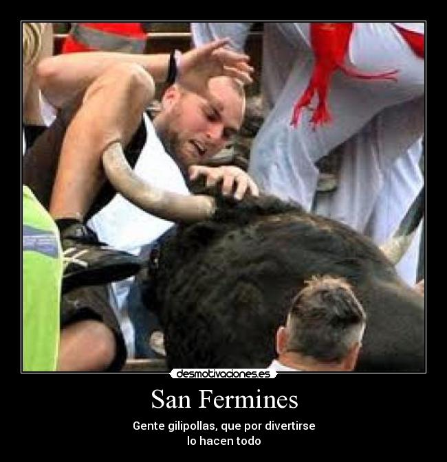 San Fermines - Gente gilipollas, que por divertirse
lo hacen todo