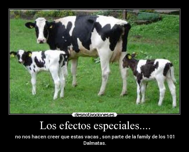 Los efectos especiales.... -