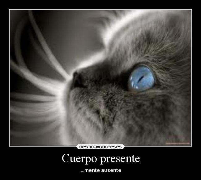 Cuerpo presente - ...mente ausente