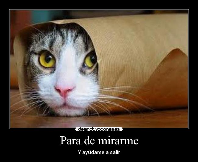 Para de mirarme - Y ayúdame a salir