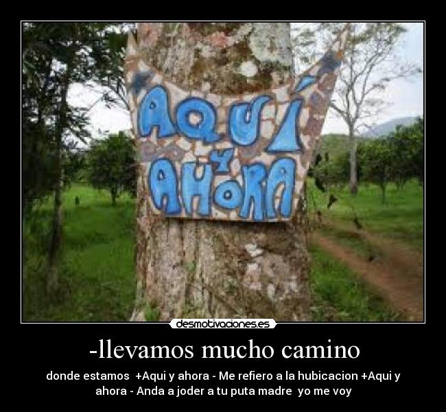 -llevamos mucho camino -