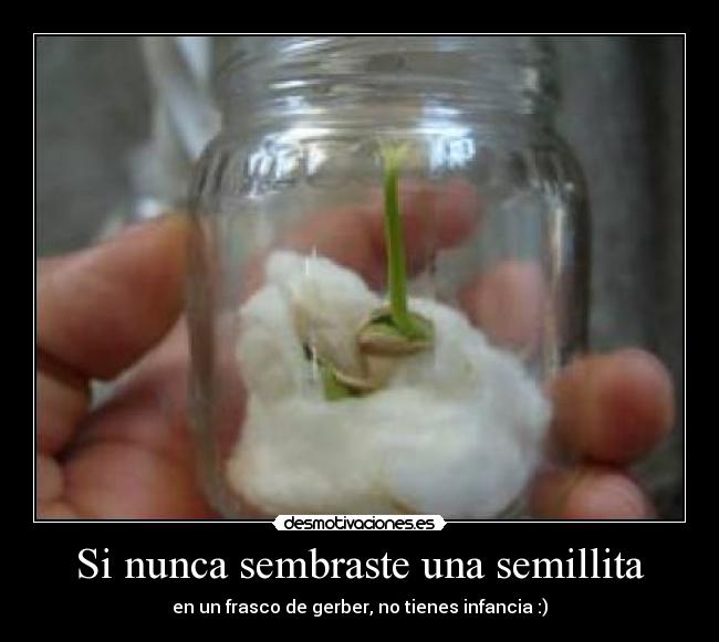 Si nunca sembraste una semillita -