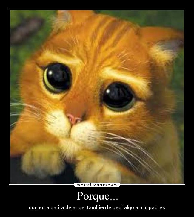 carteles nataaa desmotivaciones