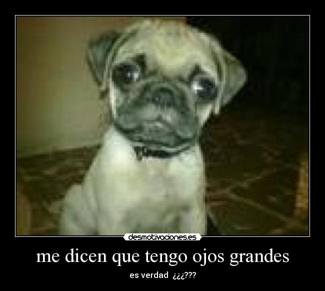 me dicen que tengo ojos grandes -
