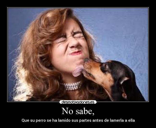 No sabe, -