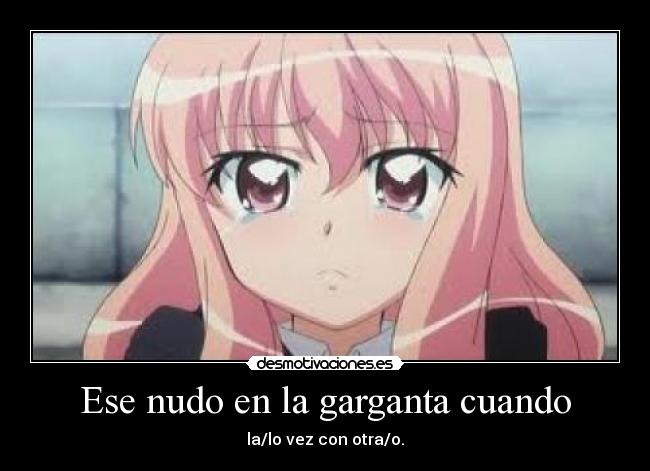 carteles anime zero tsukaima louise francoise triste llorar nudo garganta vez con otra desmotivaciones
