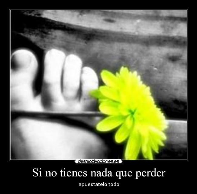 Si no tienes nada que perder -