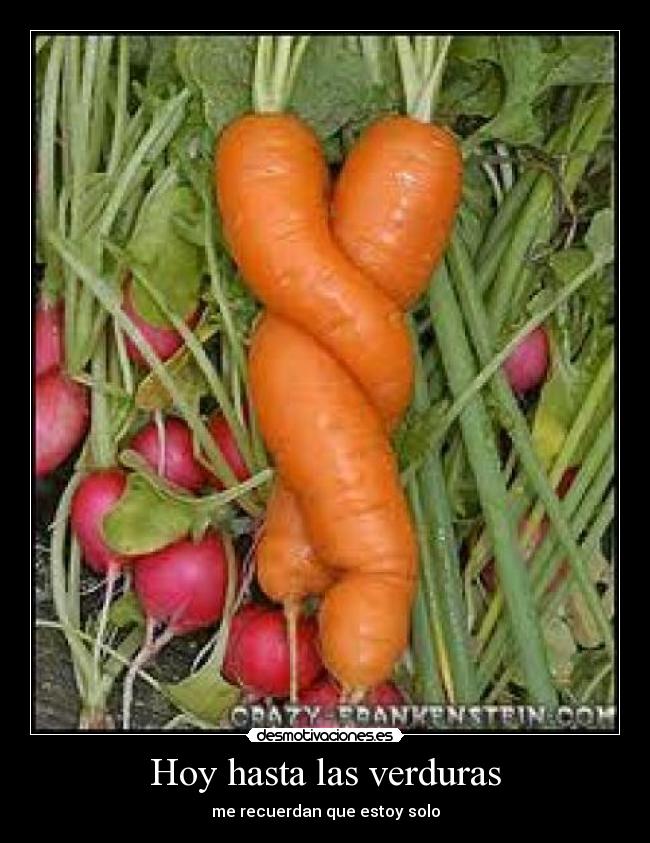 Hoy hasta las verduras - 