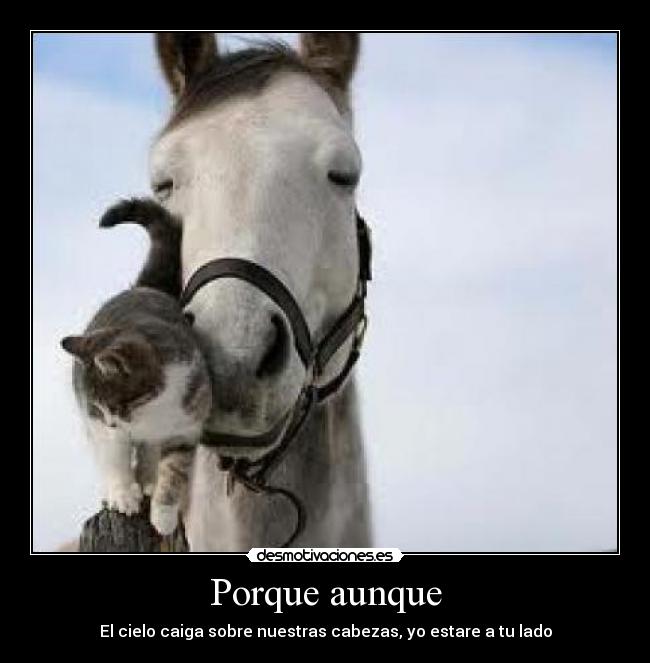 carteles cielo amigo tqq desmotivaciones