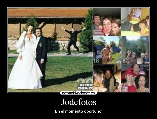 Jodefotos - En el momento oportuno.