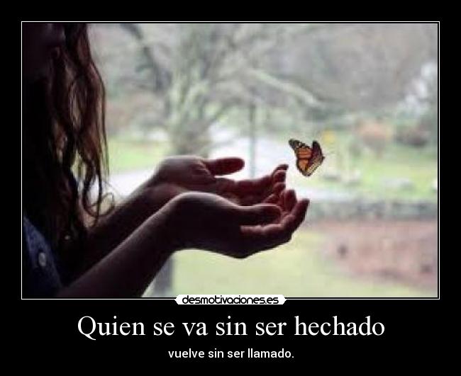 Quien se va sin ser hechado - 