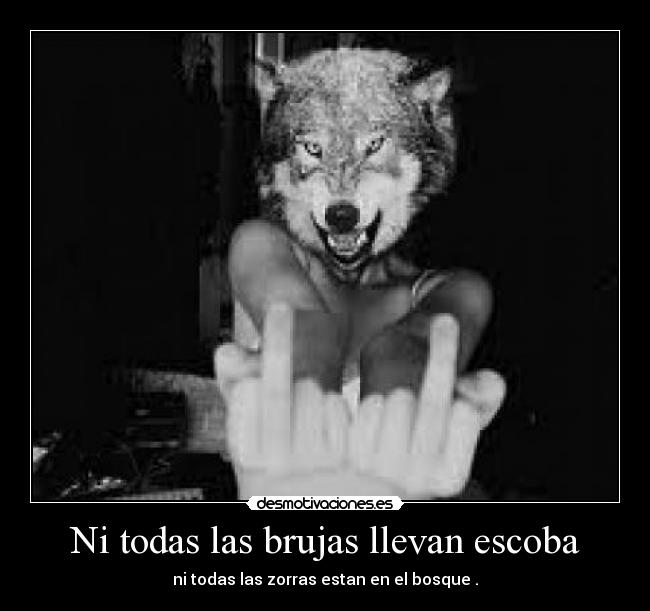 Ni todas las brujas llevan escoba - ni todas las zorras estan en el bosque .