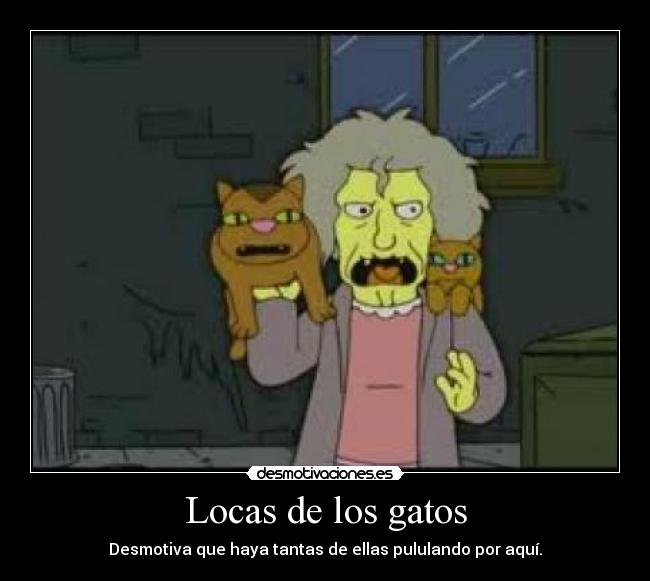 Locas de los gatos - 