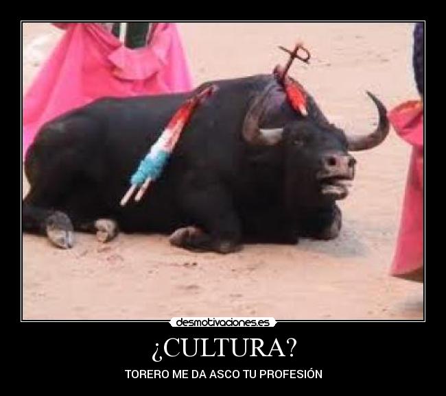 ¿CULTURA? -