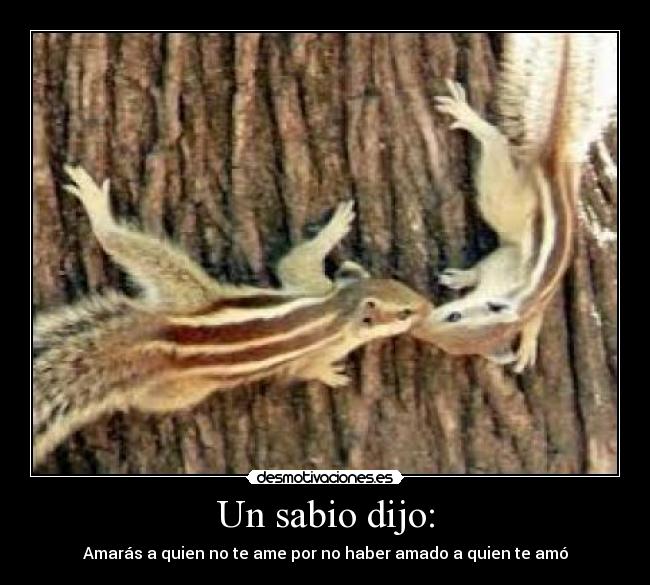 Un sabio dijo: - Amarás a quien no te ame por no haber amado a quien te amó