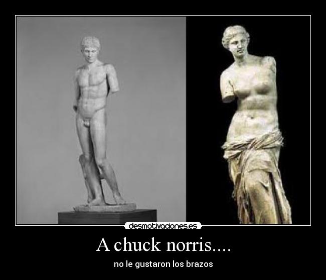 A chuck norris.... - no le gustaron los brazos