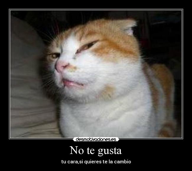 No te gusta - 