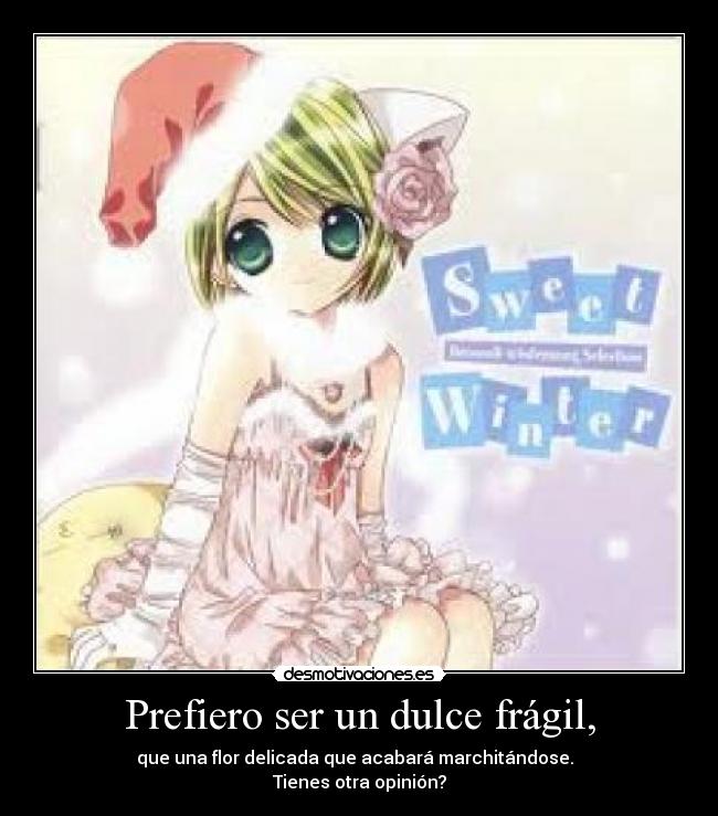 Prefiero ser un dulce frágil, - que una flor delicada que acabará marchitándose.  
Tienes otra opinión?