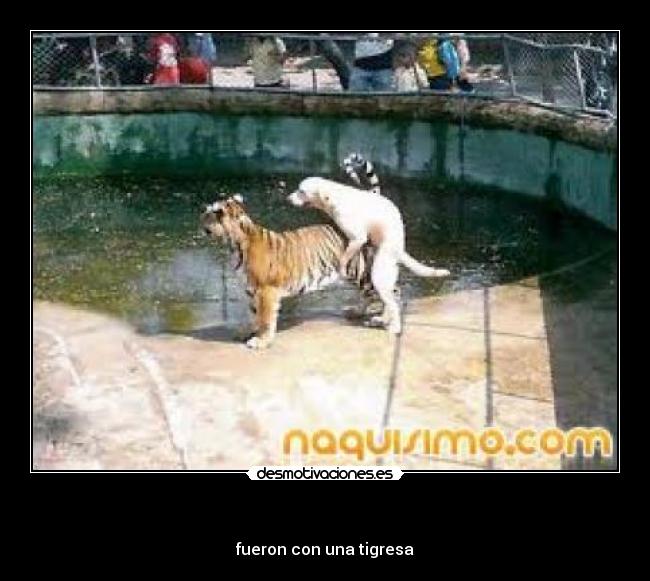  - fueron con una tigresa