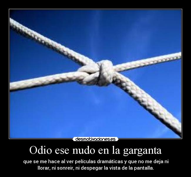 Odio ese nudo en la garganta - que se me hace al ver películas dramáticas y que no me deja ni
llorar, ni sonreir, ni despegar la vista de la pantalla.