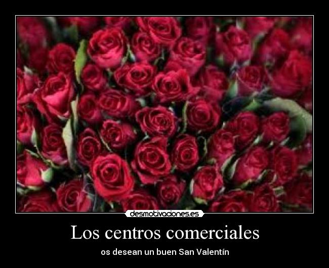 carteles san valentin desmotivaciones