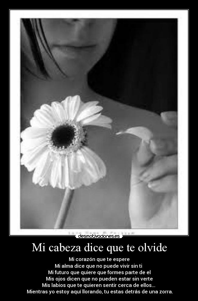 carteles destino desmotivaciones