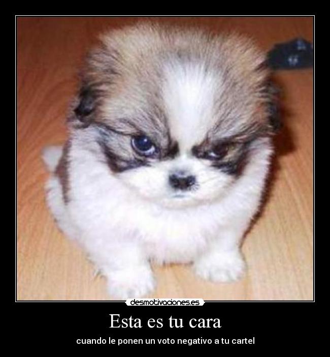 Esta es tu cara - cuando le ponen un voto negativo a tu cartel