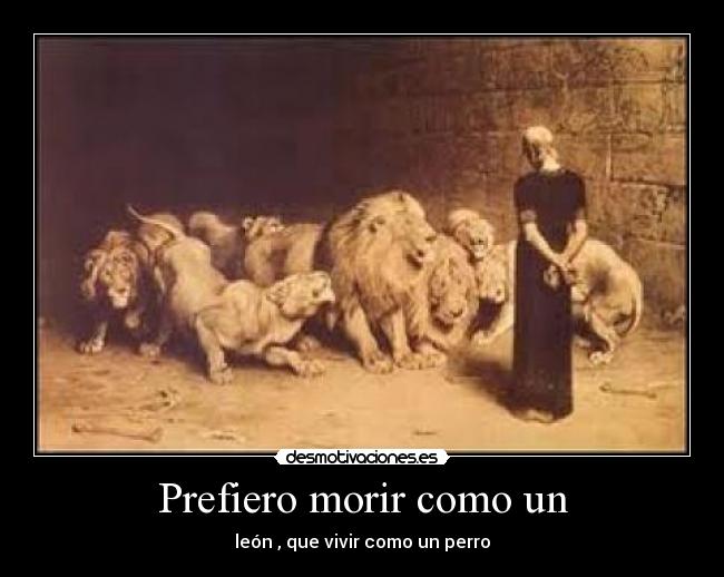 Prefiero morir como un - león , que vivir como un perro