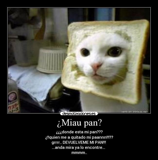 ¿Miau pan? - ¿¿¿donde esta mi pan???
¿!!quien me a quitado mi paannn!!!??
grrrr.. DEVUELVEME MI PAN!!!
...anda mira ya lo encontre...
mmmm..