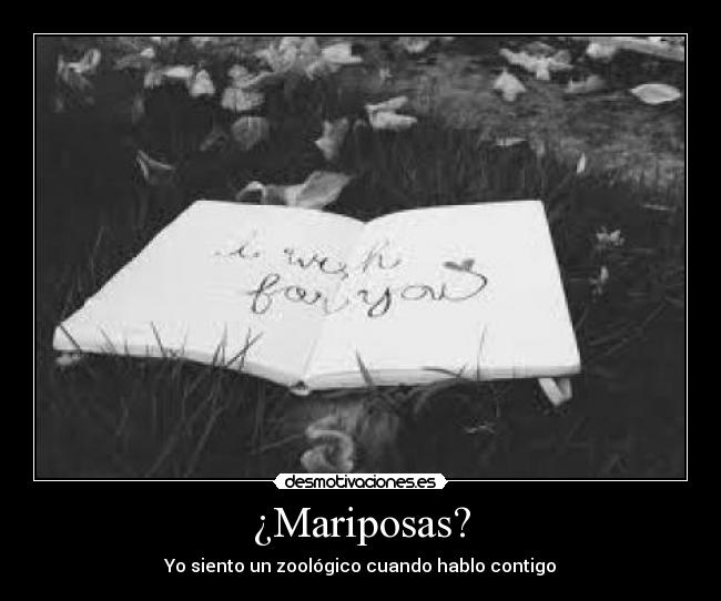 ¿Mariposas? -