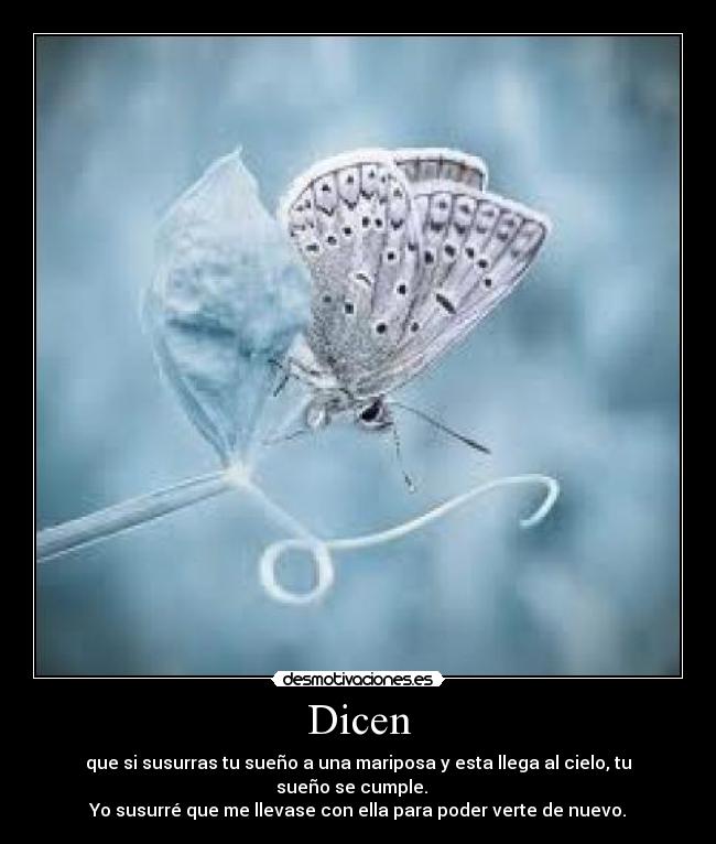 Dicen - que si susurras tu sueño a una mariposa y esta llega al cielo, tu sueño se cumple.
Yo susurré que me llevase con ella para poder verte de nuevo.