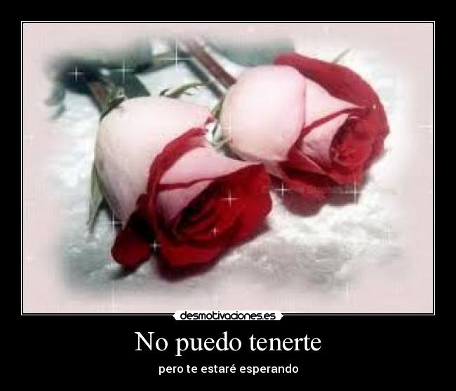 No puedo tenerte - 