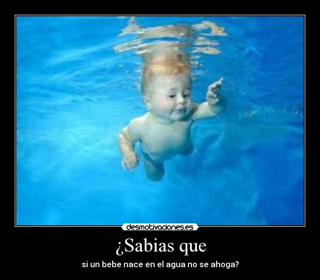 ¿Sabias que - si un bebe nace en el agua no se ahoga?