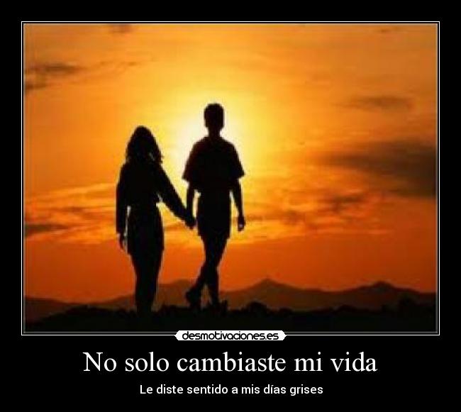 No solo cambiaste mi vida - Le diste sentido a mis días grises