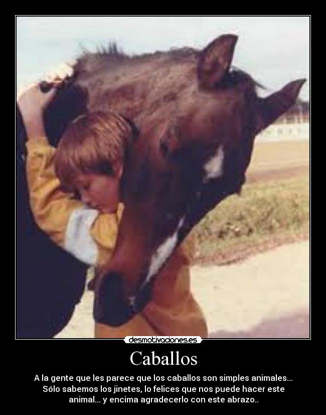 Caballos - 