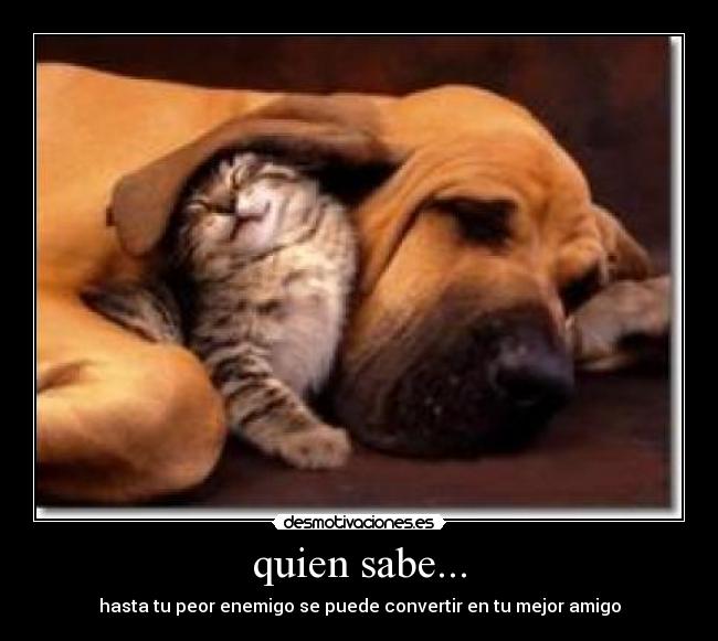 quien sabe... - hasta tu peor enemigo se puede convertir en tu mejor amigo