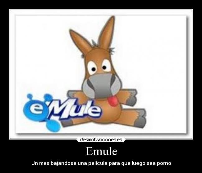 Emule - Un mes bajandose una película para que luego sea porno